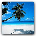 Gain a presence in a country without any brick and mortar with call forwarding.