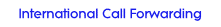 International Call Forwarding