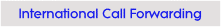 International Call Forwarding