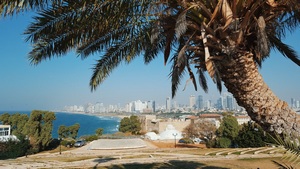 Israel Call Forwarding Virtual Phone Number - Ashkelon, Tel Aviv