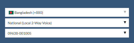 Local 2-Way Voice phone number dialog