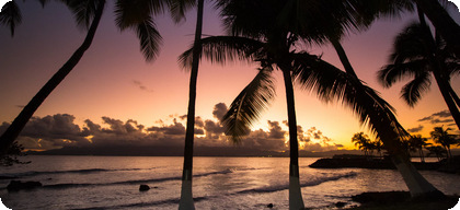 Guadeloupe call forwarding phone number