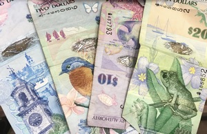 Bermuda Currency