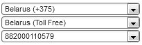 Belarus Virtual Number Database