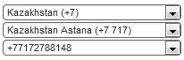 Kazakhstan Virtual Number Database