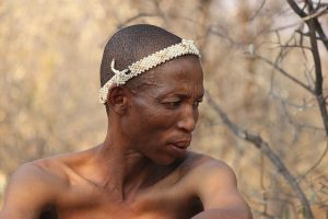 Botswana Nature