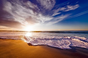 California call forwarding phone number