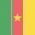 Cameroon Flag