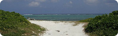 Cayman Islands Call Forwarding