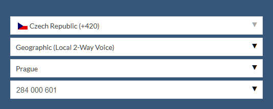 Czech Republic Local 2-Way Voice option screen capture