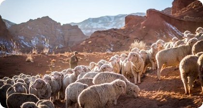 Gebiet Tschi, Kyrgyzstan