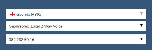 Georgia Local 2-Way Voice option