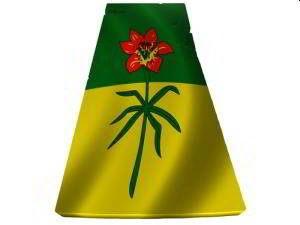 Saskatchewan conference call - Saskatchewan Flag