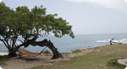 Jamaica call forwarding phone number