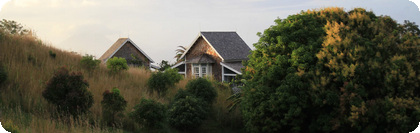 Saint Kitts and Nevis phone number