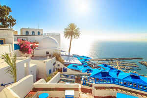 Tunisia Virtual Phone Number