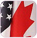 Conference Call USA